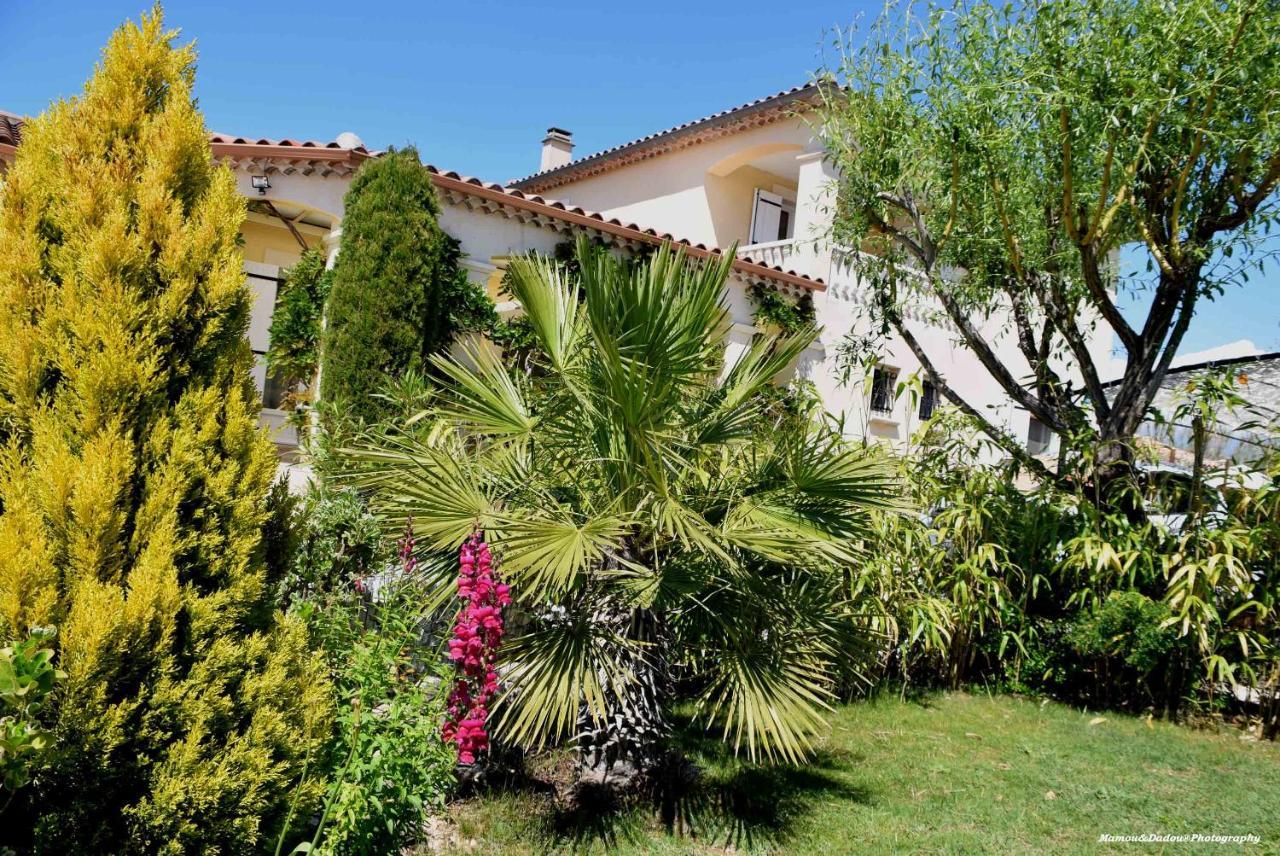 Chez Mamou & Dadou Apartment Monteux Bagian luar foto