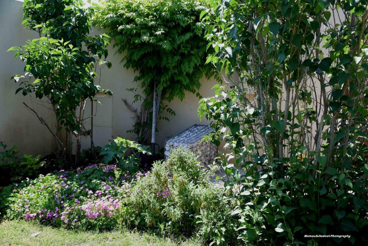 Chez Mamou & Dadou Apartment Monteux Bagian luar foto